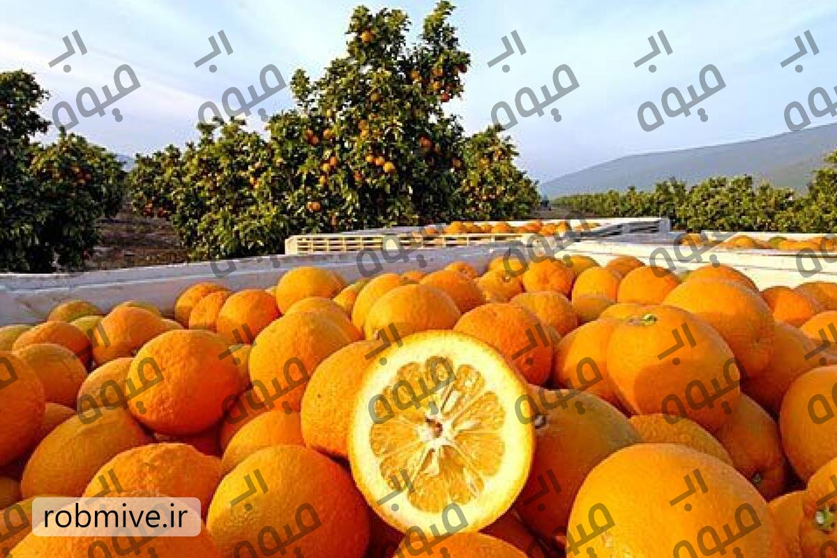 تامین رب نارنج