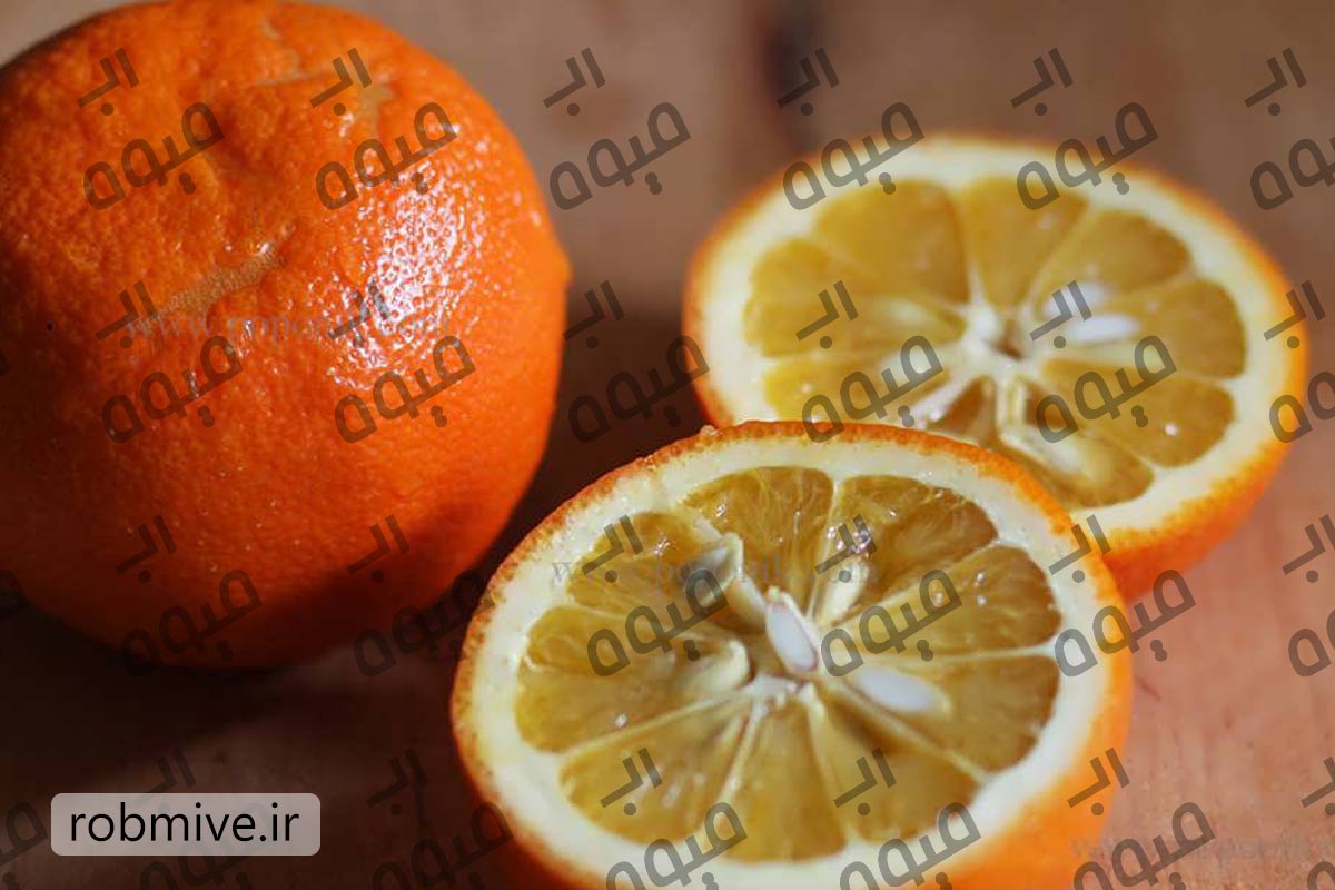 خرید عمده رب نارنج