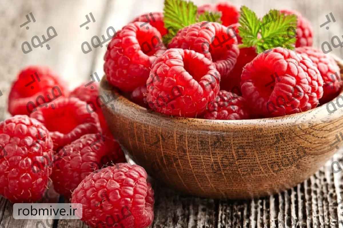 فروش عمده رب تمشک