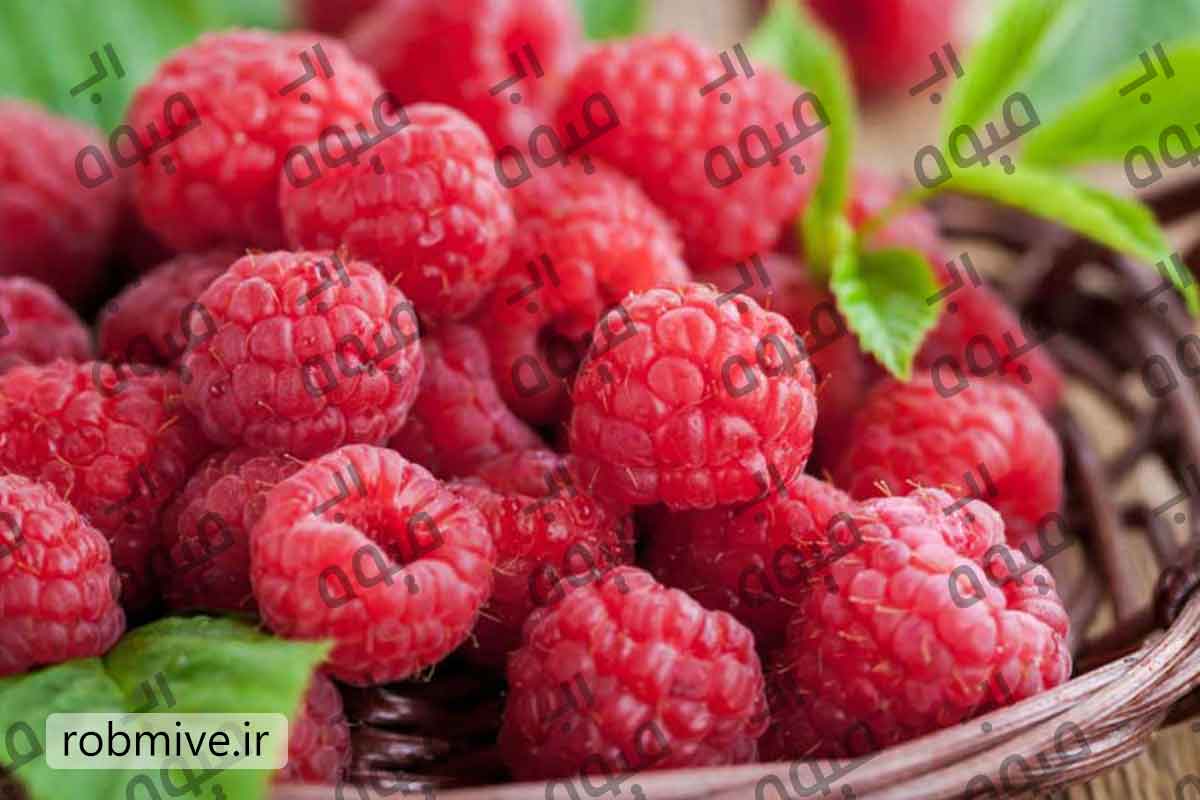 فروش عمده رب تمشک