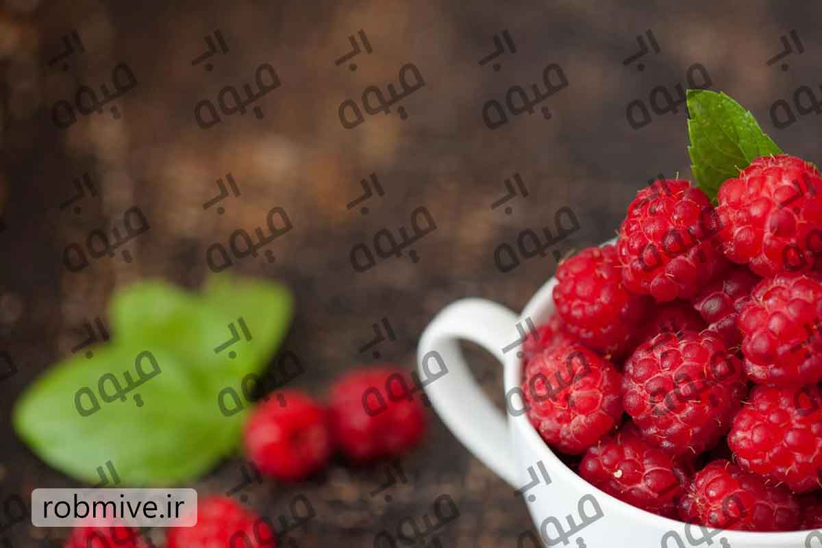 قیمت عمده رب تمشک