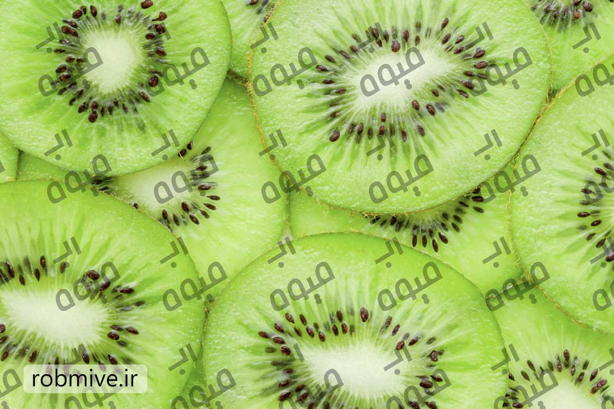 خرید عمده رب کیوی