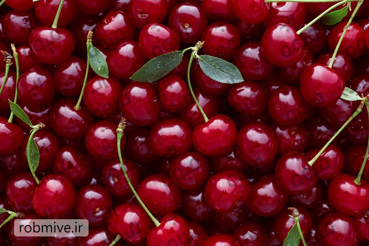 فروش ویژه رب آلبالو صادراتی