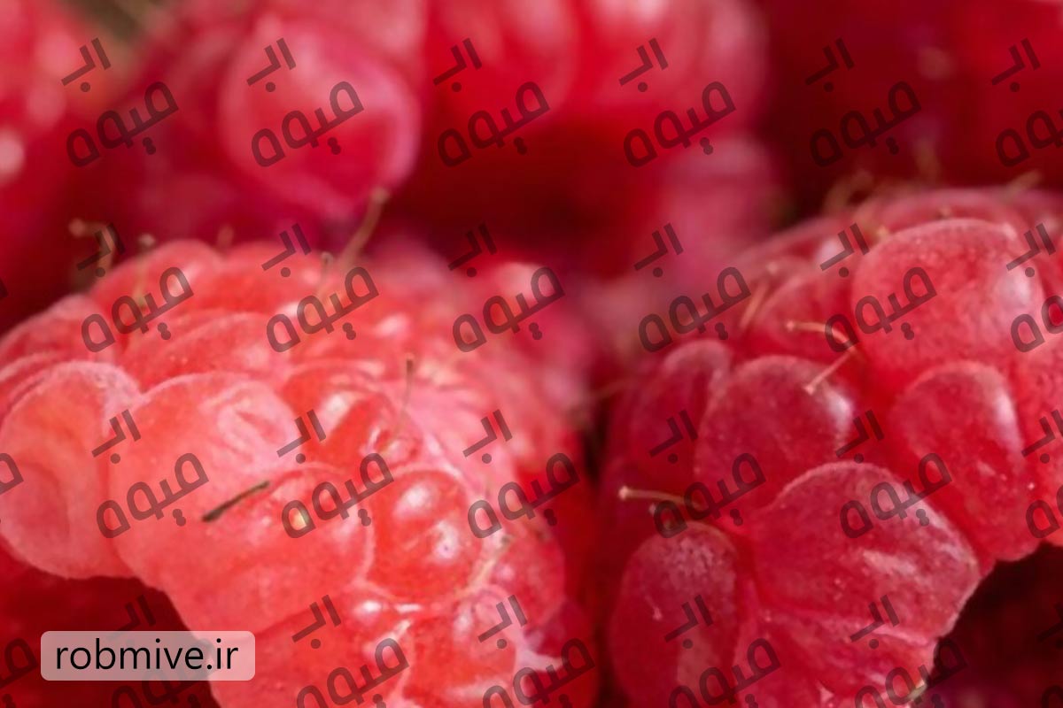 رب تمشک درجه یک