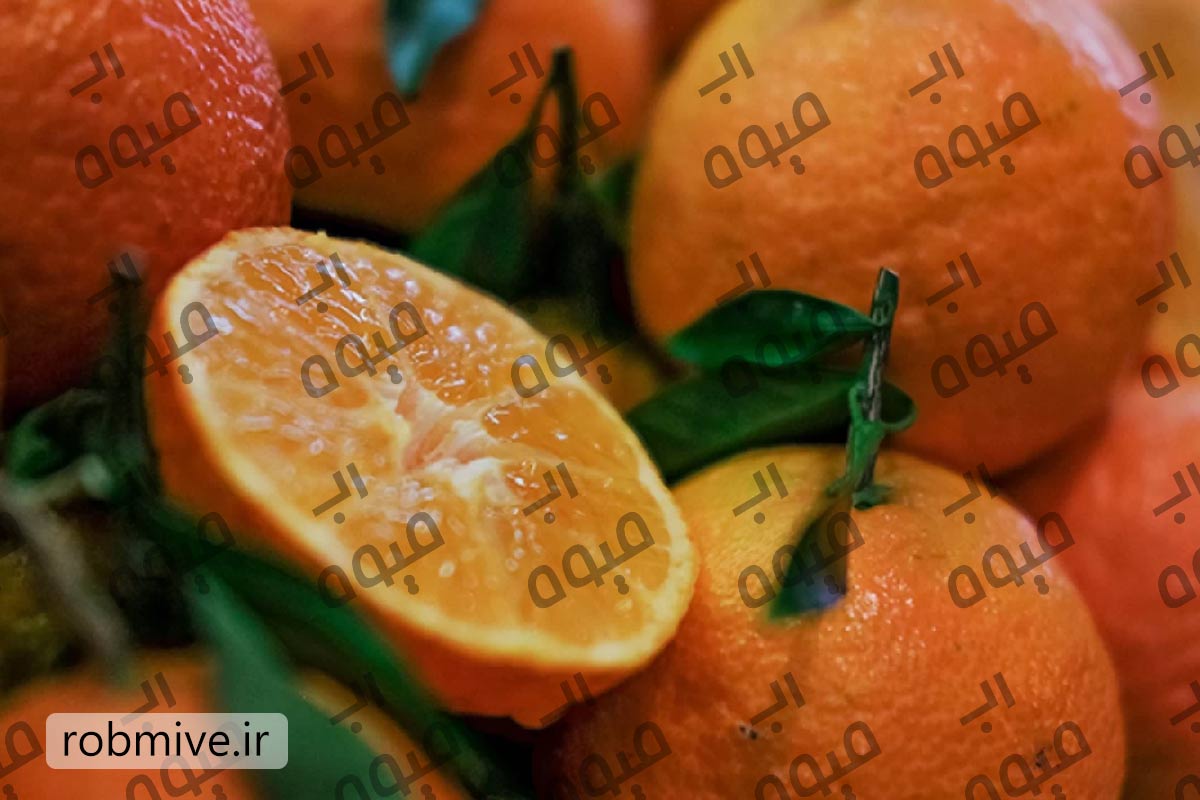 خرید رب نارنج