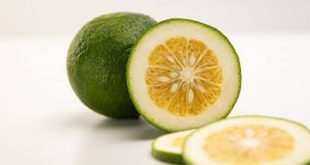 خرید مستقیم رب نارنج