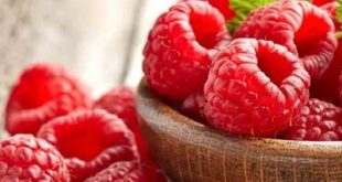 فروش عمده رب تمشک