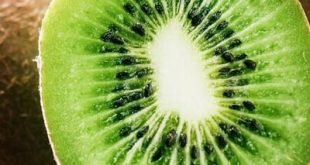 خرید عمده رب کیوی طبیعی