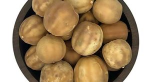 تامین رب لیمو عمانی