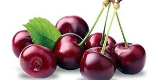 خرید عمده رب آلبالو
