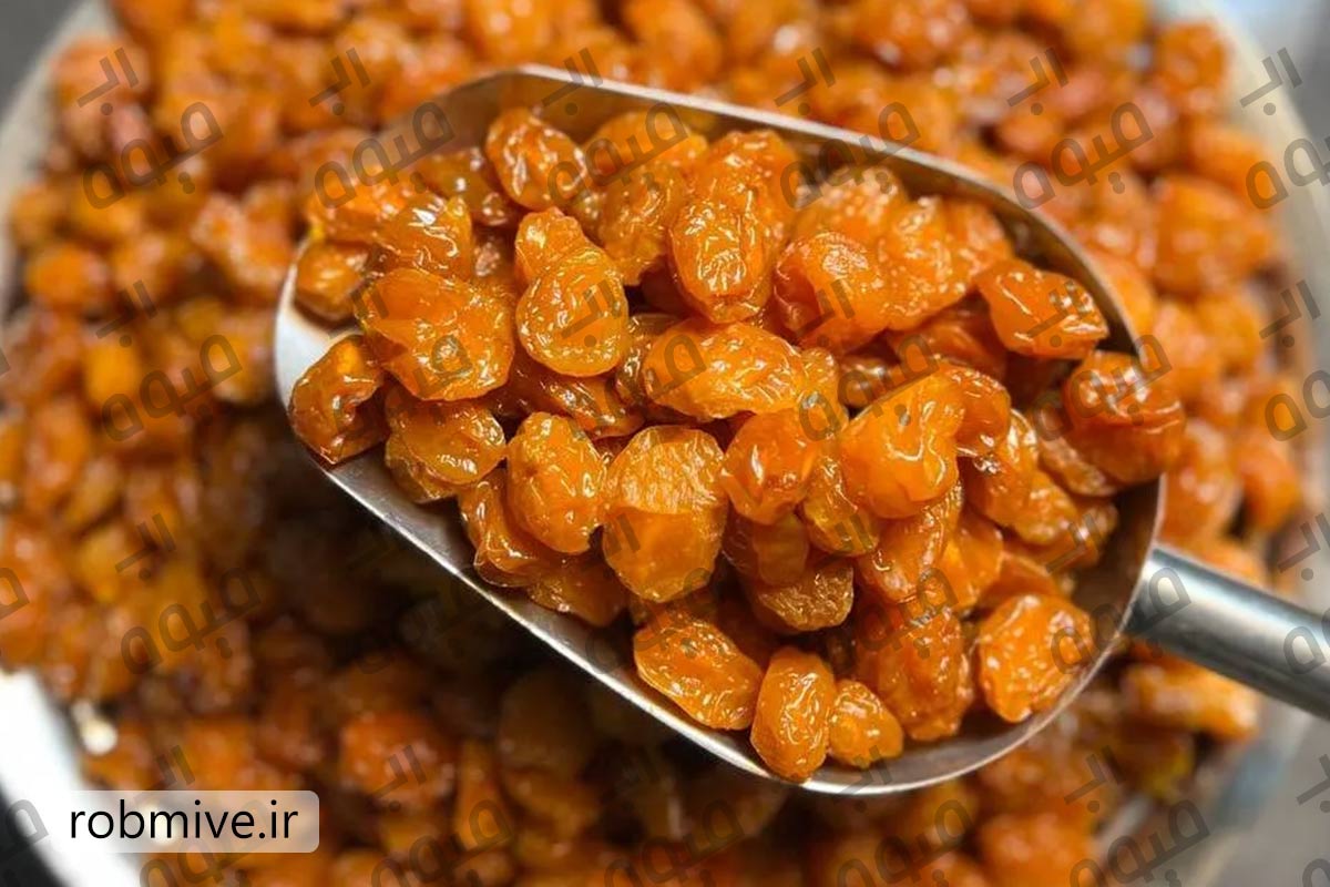 فروش مستقیم رب آلو خورشتی