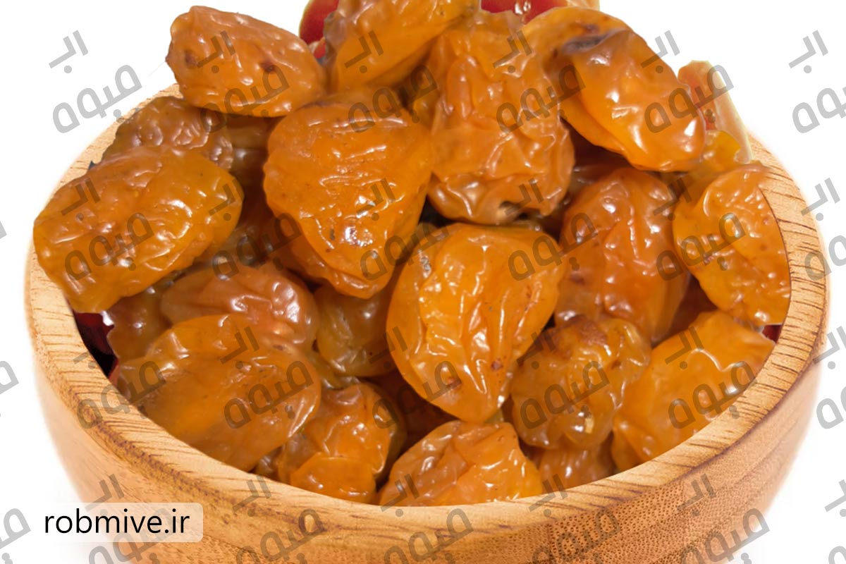 فروش مستقیم رب آلو خورشتی