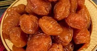 قیمت رب آلو خورشتی فله ای