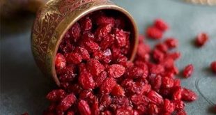 قیمت رب زرشک عمده