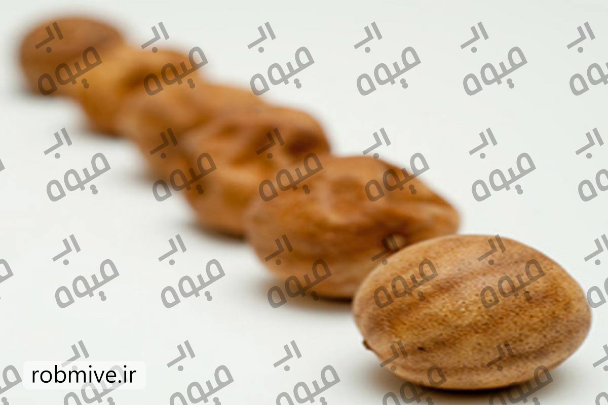 قیمت روز رب لیمو عمانی