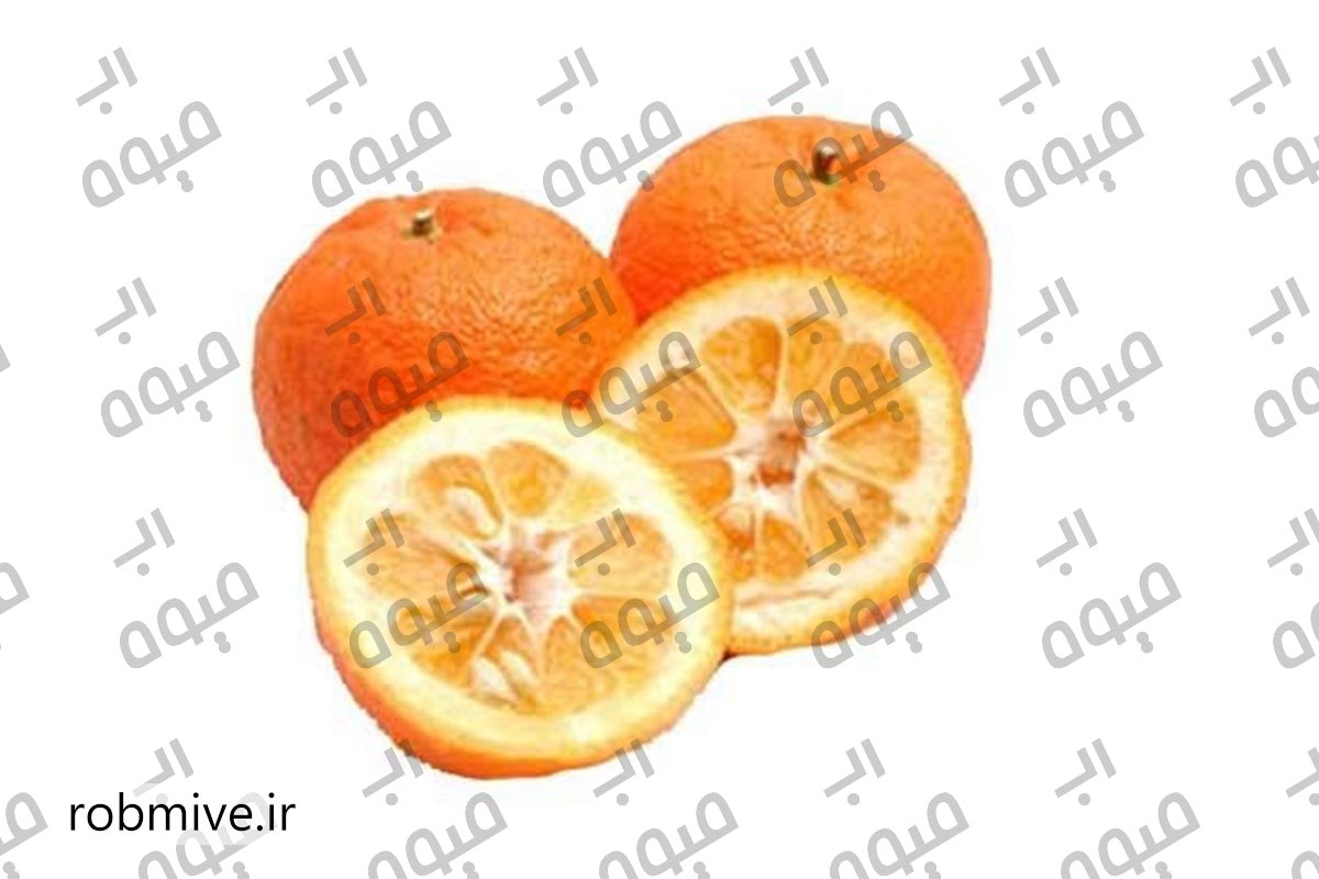 خرید رب نارنج