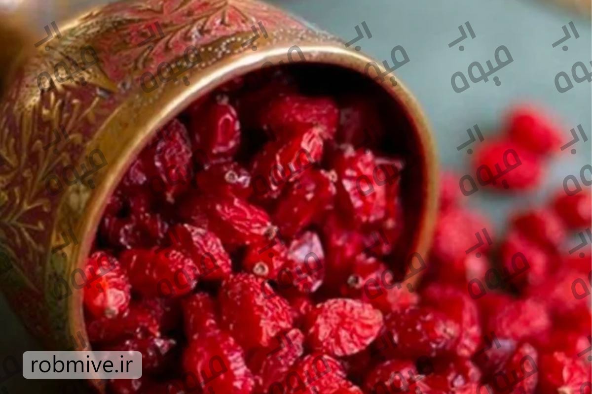فروش عمده رب زرشک صنعتی